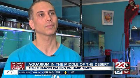 An aquarium in the middle of the desert?