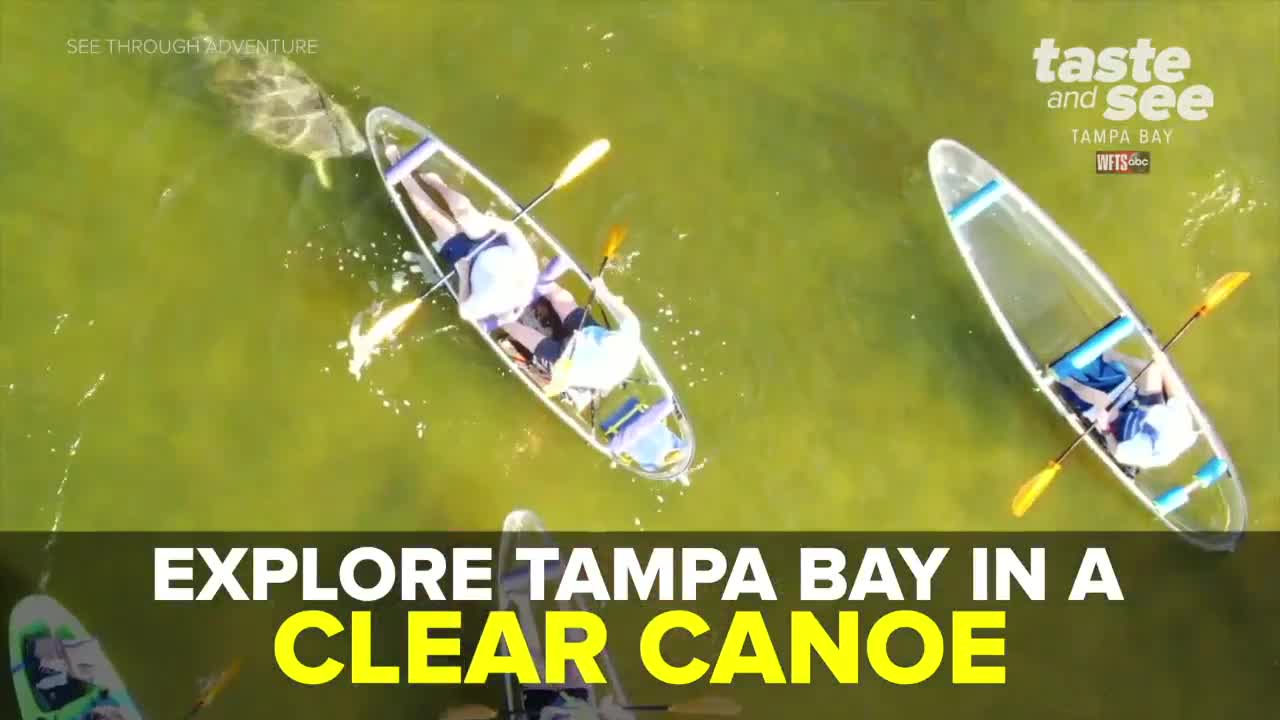 Explore Tampa Bay in a clear canoe | Taste and See Tampa Bay