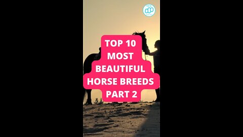 Top 10 Most Beautiful Horse Breeds Part 2