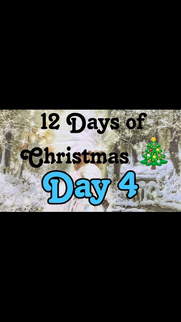 12 Days of Christmas - Day 4 Butterfly Insightful Daily Tarot - have faith in yourself and others!