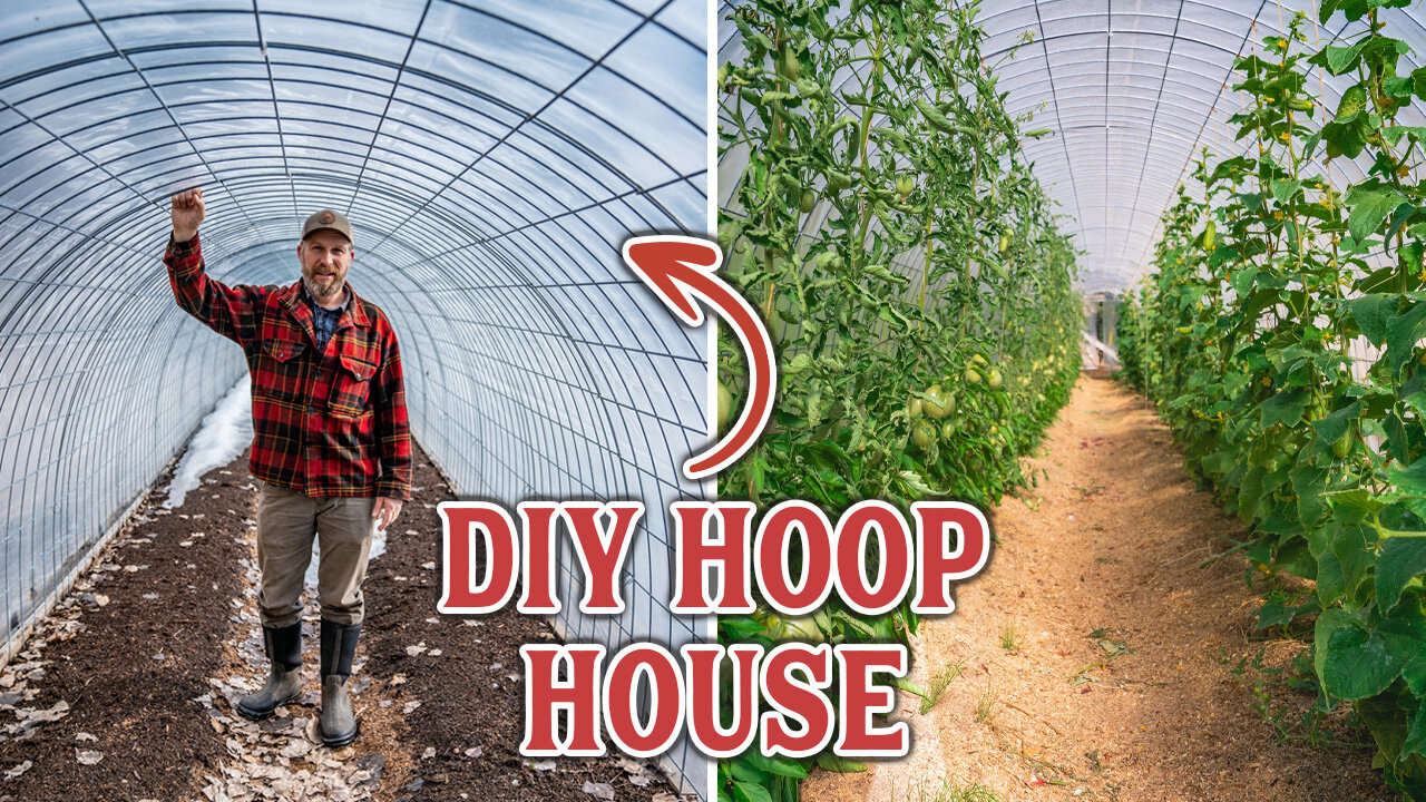 Make Your Own Inexpensive Hoop House (DIY Greenhouse)