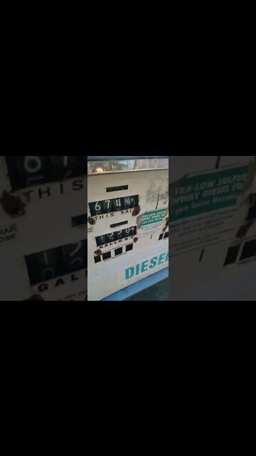 transitory they said