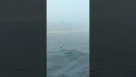 swimming in smoke