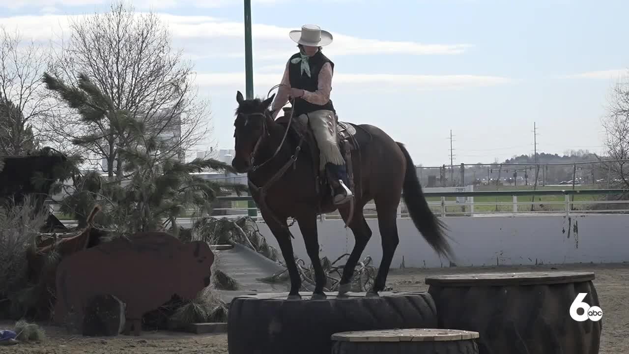 Competitive Mountain Trail Riding showcases the bond between riders and their horse