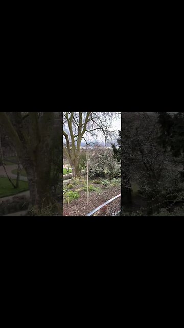 REDEMPTION(119 Nikola Tesla) DAY(30) = 149(Inauguration/ First of April)