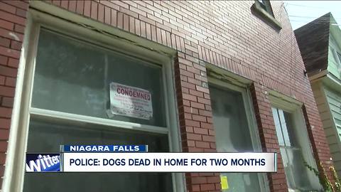 SPCA: dogs had been dead for more than a month