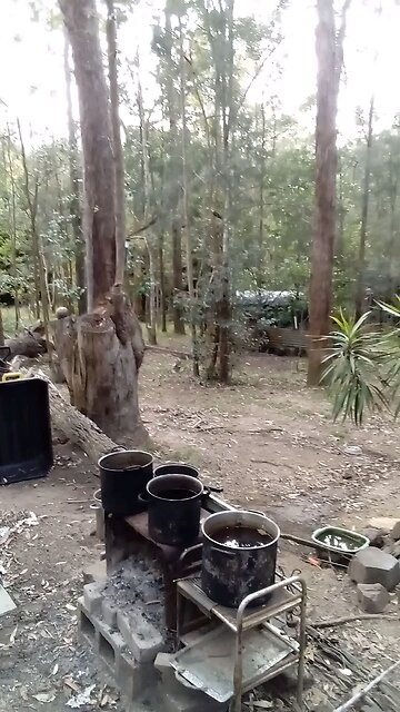 Kookaburra Communications Plus Bush Turkey 🦃