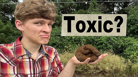 Is Composting Human Poop Safe?