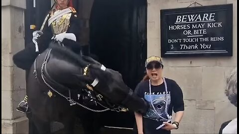 Tourist posing with King's Guard's horse faints after being bitten