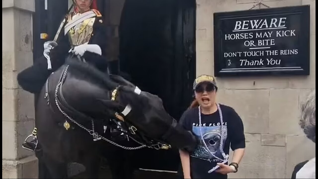 Tourist posing with King's Guard's horse faints after being bitten