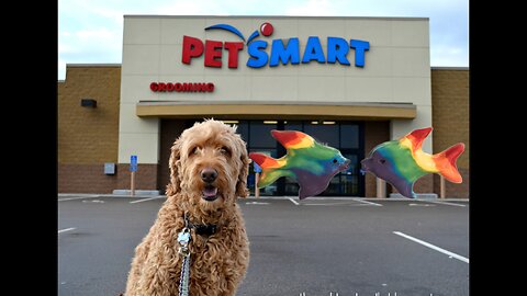 LGBTQ Agenda Comes for your Pets!