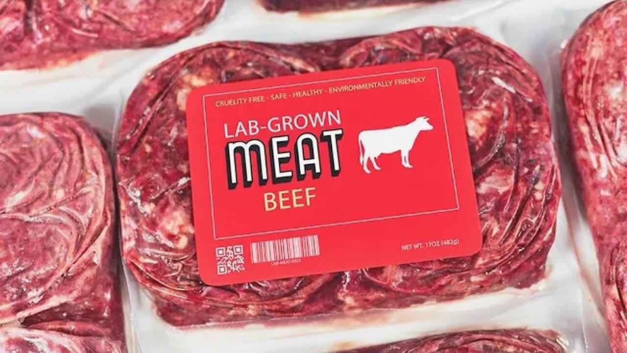 LAB CREATED MEATS NOW SOLD IN STORES!