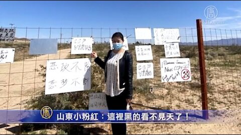无辜挨铁拳 山东小粉红：这里黑得看不见天了！