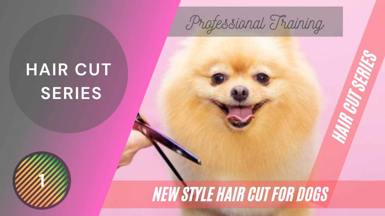 DOG HAIR STYLING SERIES