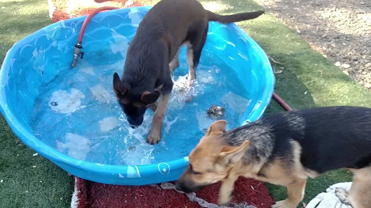 Lithium, Special Sand, Exposure Of Elites, Cover With Destruction, Conspiracy I Think Not.