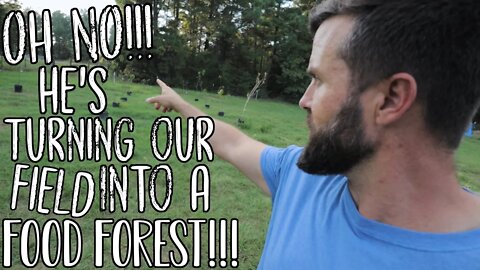 He Has Food Forest Fever!!!/ Food Forest Update/New Idea Water Catchment/Kune Kune Pigs for sale