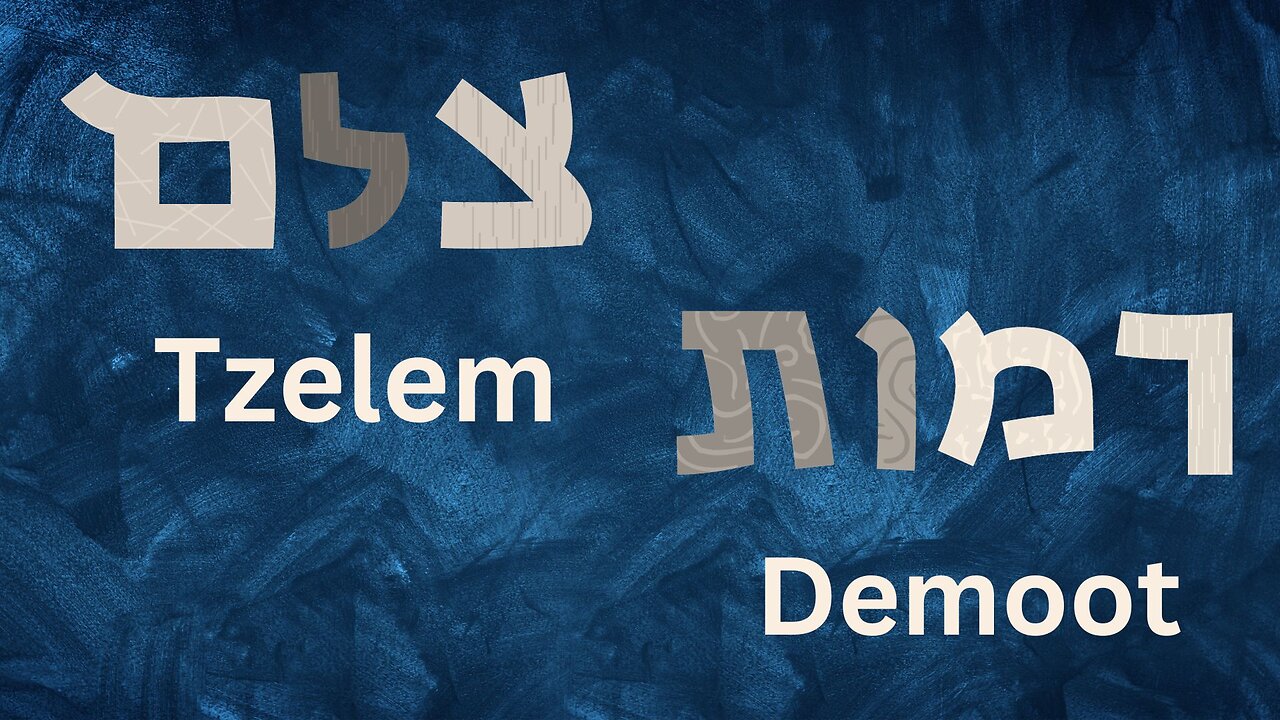 Image and Likeness Bearers Tzelem צֶלֶם and Demoot דְּמוּת - David Mitts