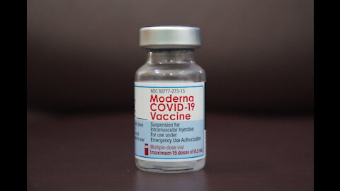 DR. & PATIENT COVID CONVERSATION, DR. RESISTS PRESCRIBING IVERMECTIN, ADMITS THAT 99% INCUBATED DIE