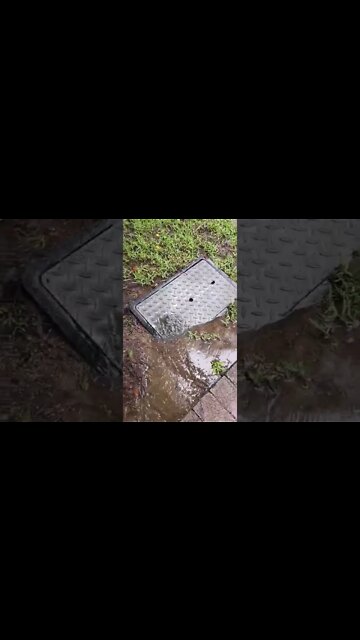 This is NOT supposed to happen... (Sydney Floods) #shorts