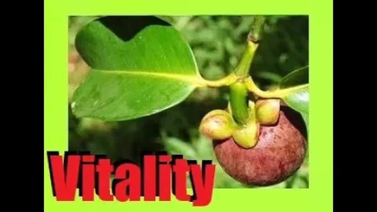 Mangosteen Magic - Health Benefits !!!