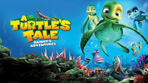 Turtle Tale 2010
