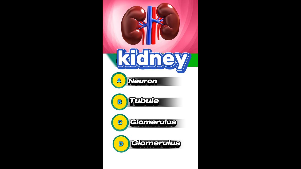 Kidney mcqs #kidney #nephron 💳💳🏥💊🏥