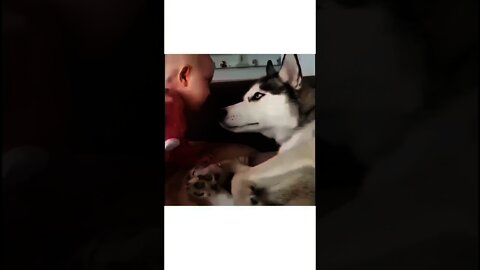 His face at the end is priceless 😂😂