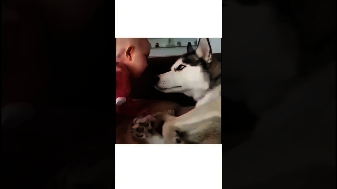 His face at the end is priceless 😂😂