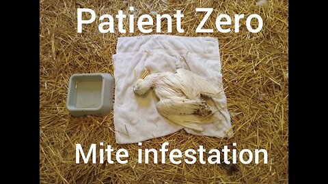 Patient Zero - Buddy Took The Last Of The Mites With Him