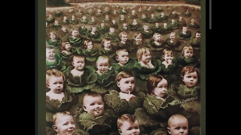 Cabbage Patch: Discussions about the Dark Factions