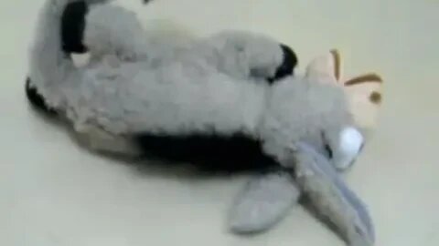 Laughing Donkey Plush