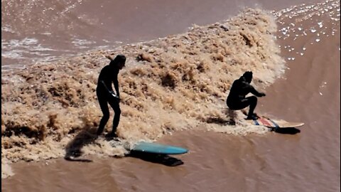 Rivière Petitcodiac : c'est le retour du surf du mascaret !