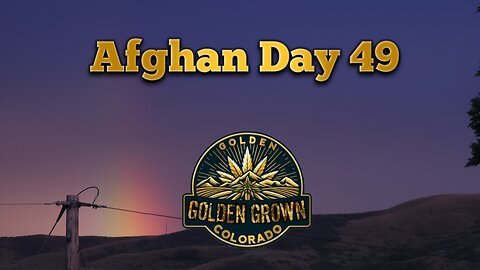 Afghan Day 49