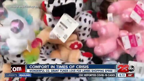 Comfort in Times of Crisis: Wonderful Co. grants funds to Love for Lambs for shopping spree