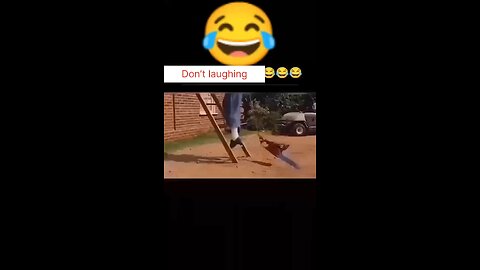 Non-Stop Laughter: Funniest Comedy Video of the Year | Must Watch!