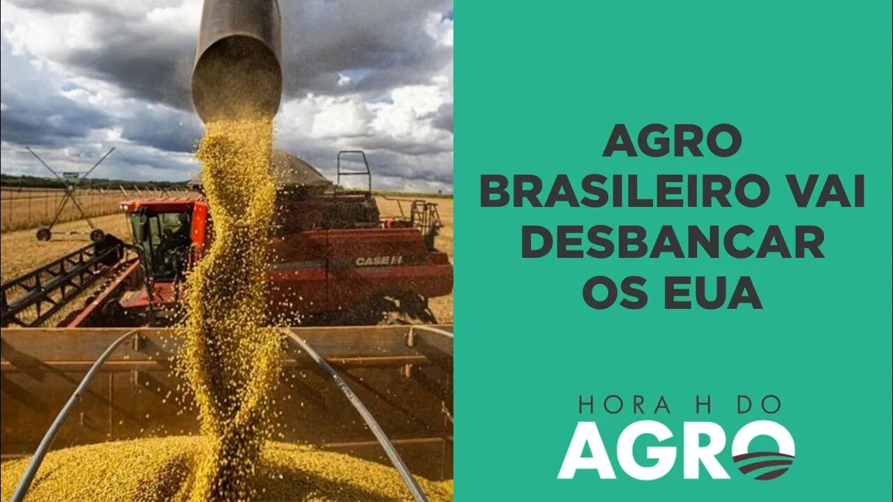 Brasil será o maior exportador de milho do mundo em 2023 | HORA H DO AGRO