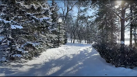 Walking in Regina, March 4, 2024: A short, cold walk (-21 C / -34 windchill) after a big snowfall