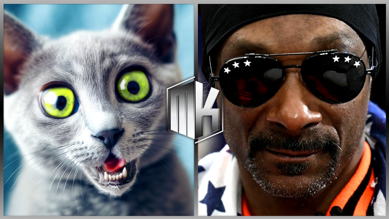 Snoop Dogg's Olympic salary will BLOW YOUR MIND!!!