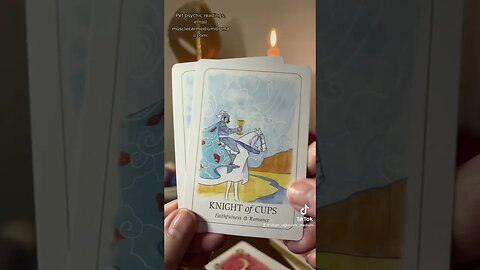 Tarot Guidance