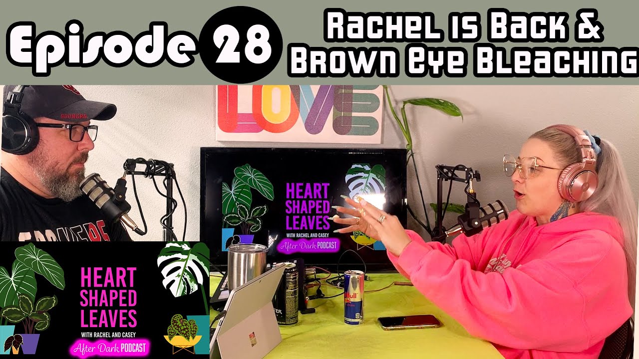 Rachel is Back & Brown Eye Bleaching - HSL After Dark Podcast Ep 28