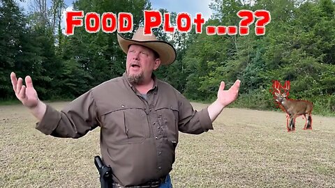 Making My First Food Plot... Will It Work?