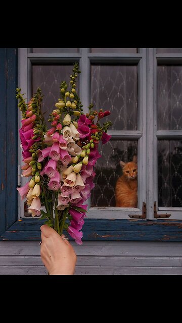 Memories of summer in Yaroslavl region