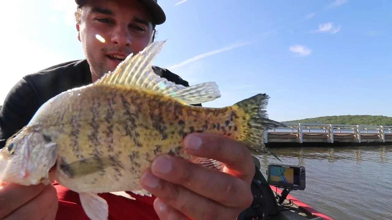 Which is better Live Minnow VS Plastic Jig?! (Crappie Fishing Challenge)