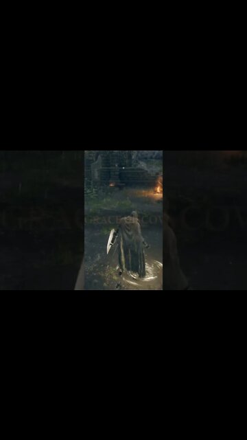 Hour in Elden Ring in One Minute #eldenring