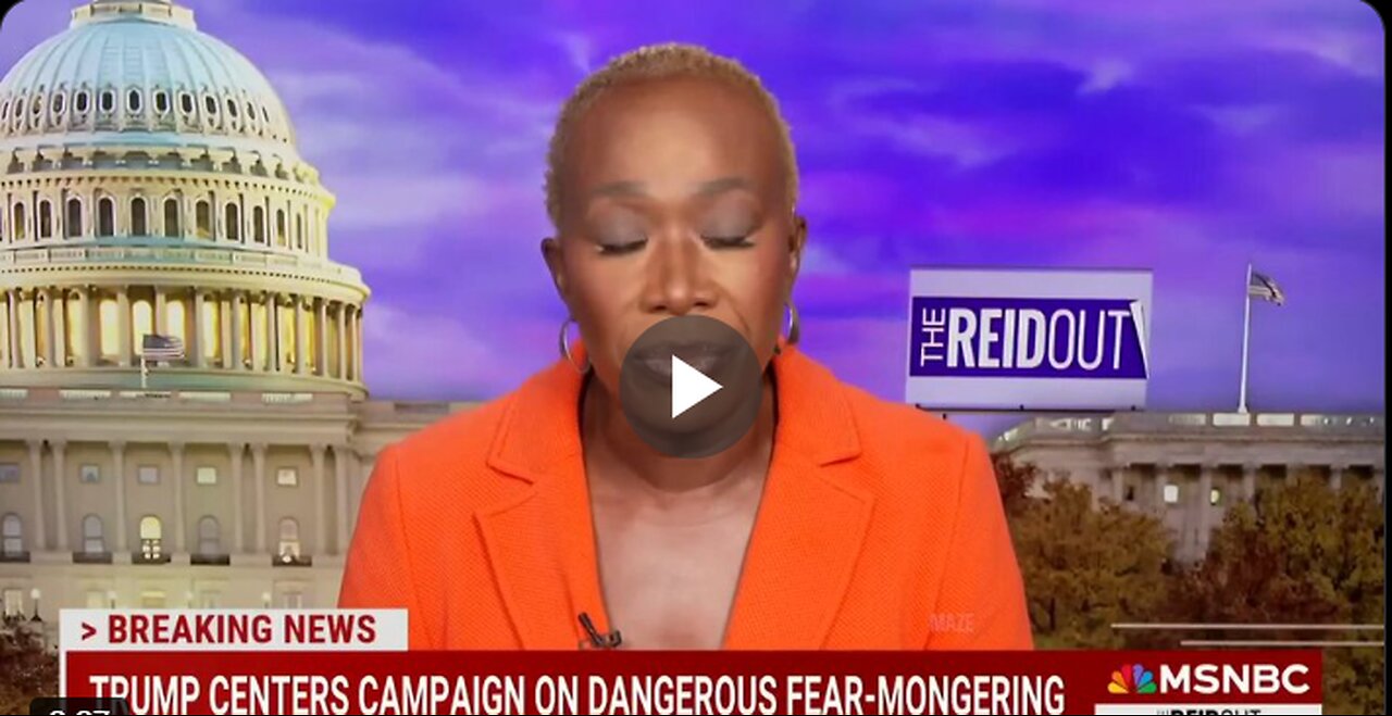 Joy Reid lies for 2 1/2 minutes about illegal immigrants.