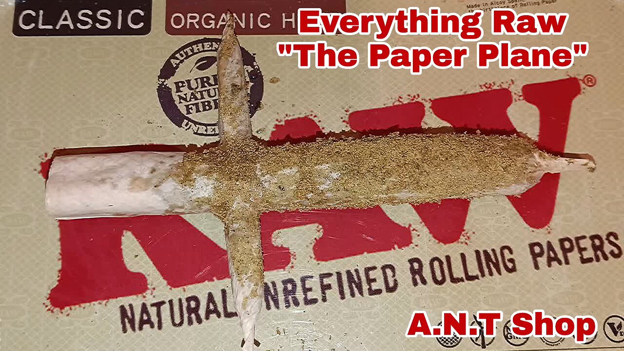 Everything Raw "The Paper Plane"