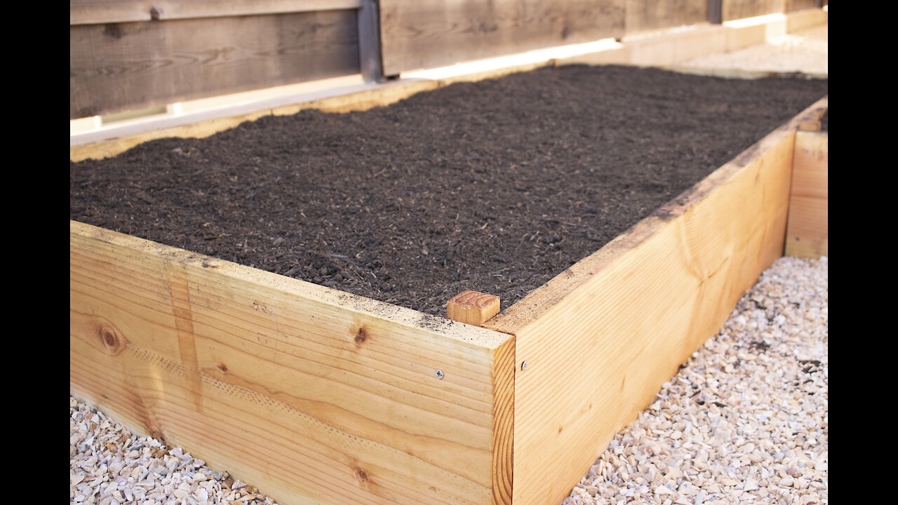 BUILDING OUR VEGGIE GARDEN - PHASE TWO