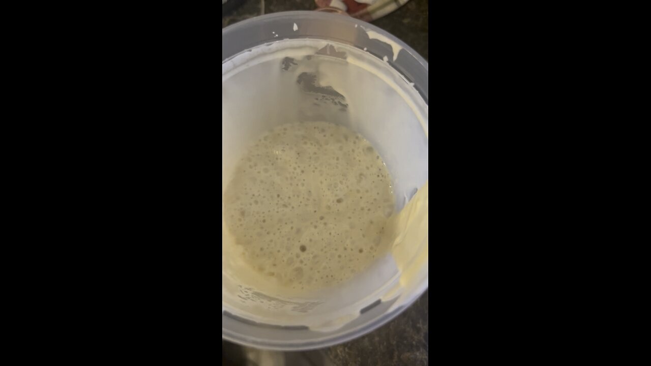 Sourdough starter