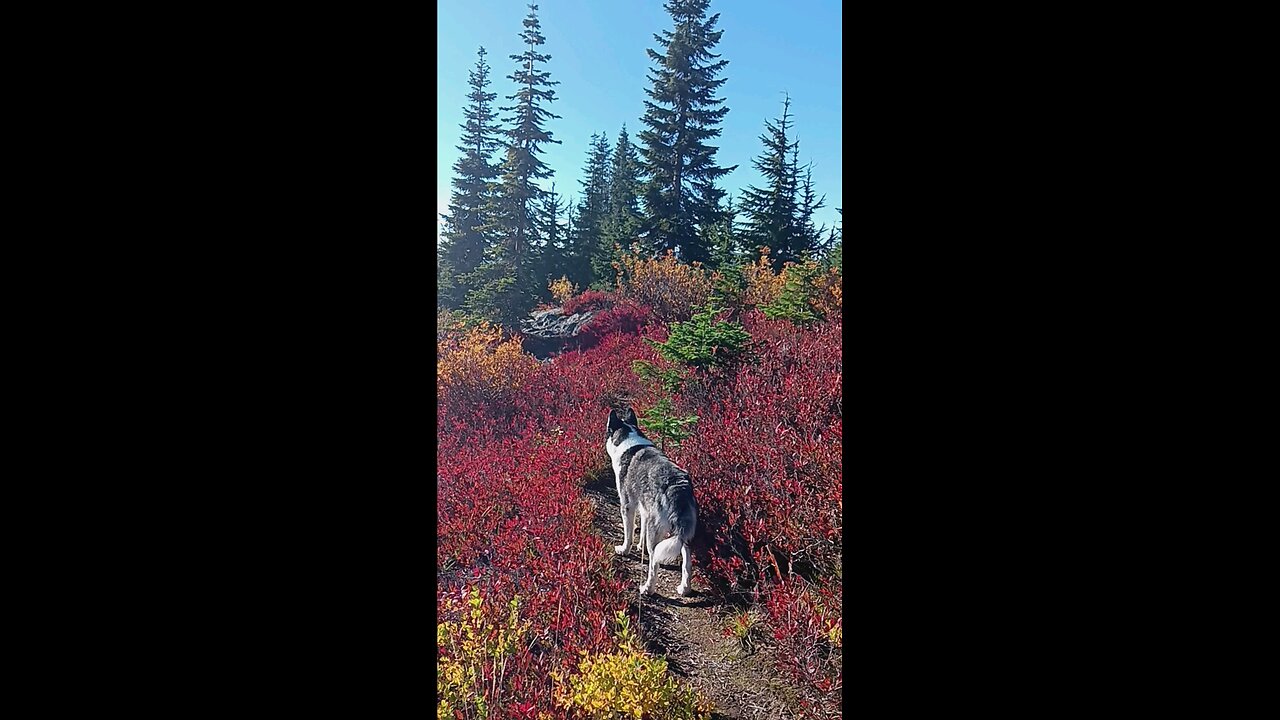 Hike 20/6/24
