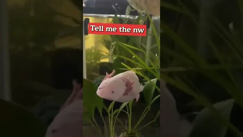 Tell me the name